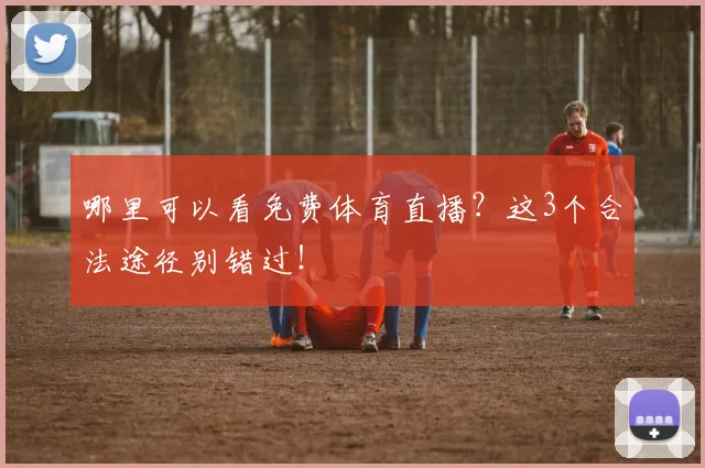 哪里可以看免费体育直播？这3个合法途径别错过！